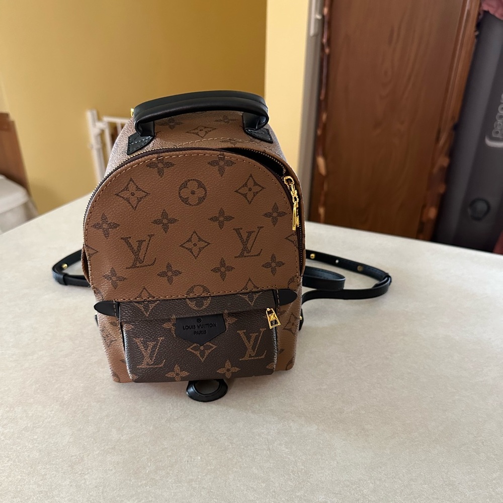 Louis Vuitton Canvas Reverse Monogram Palm Spring PM